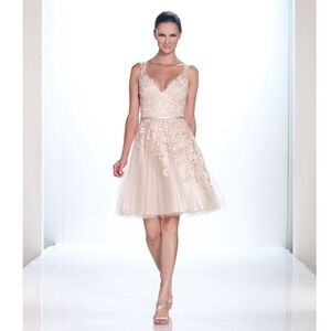 Kathy Hilton Champagne Tulle Runway Cocktail Dress 2012 Collection